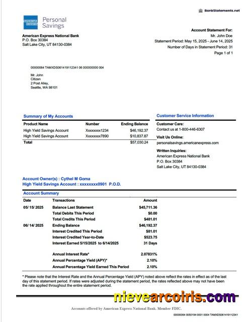 Professional USA American Express National Bank Account Statement Word And PDF Template