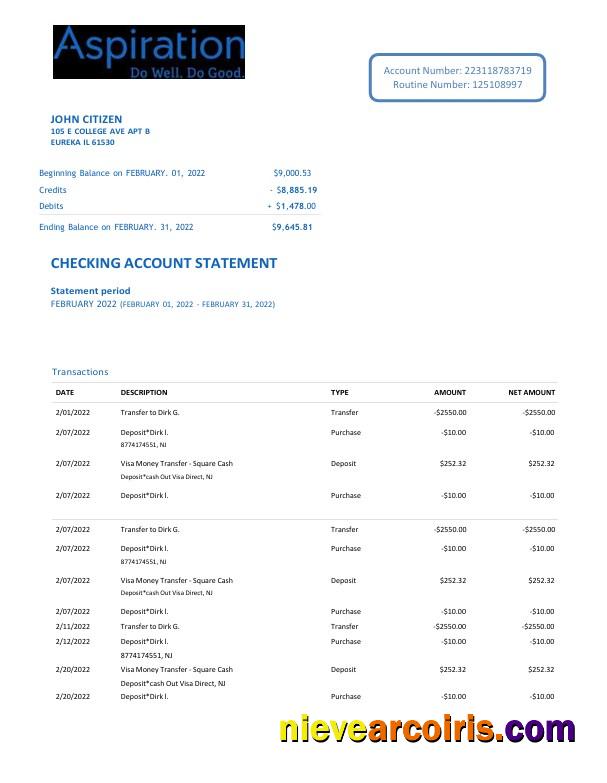 Editable USA Aspiration Bank Statement Word And PDF Template, 2 Pages