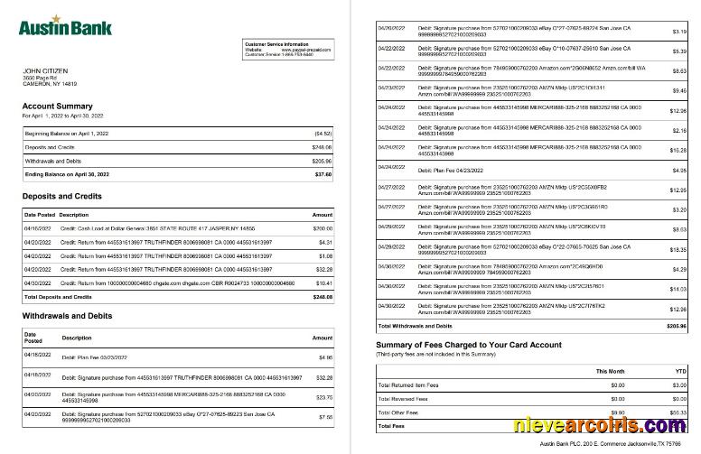 USA Austin Bank Statement 2 Pages Preview