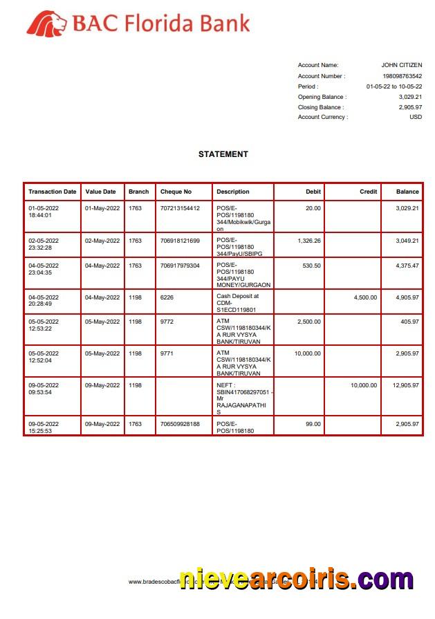 USA BAC Florida Bank Statement Preview