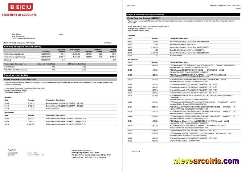 USA BECU Statement 4 Pages Sample