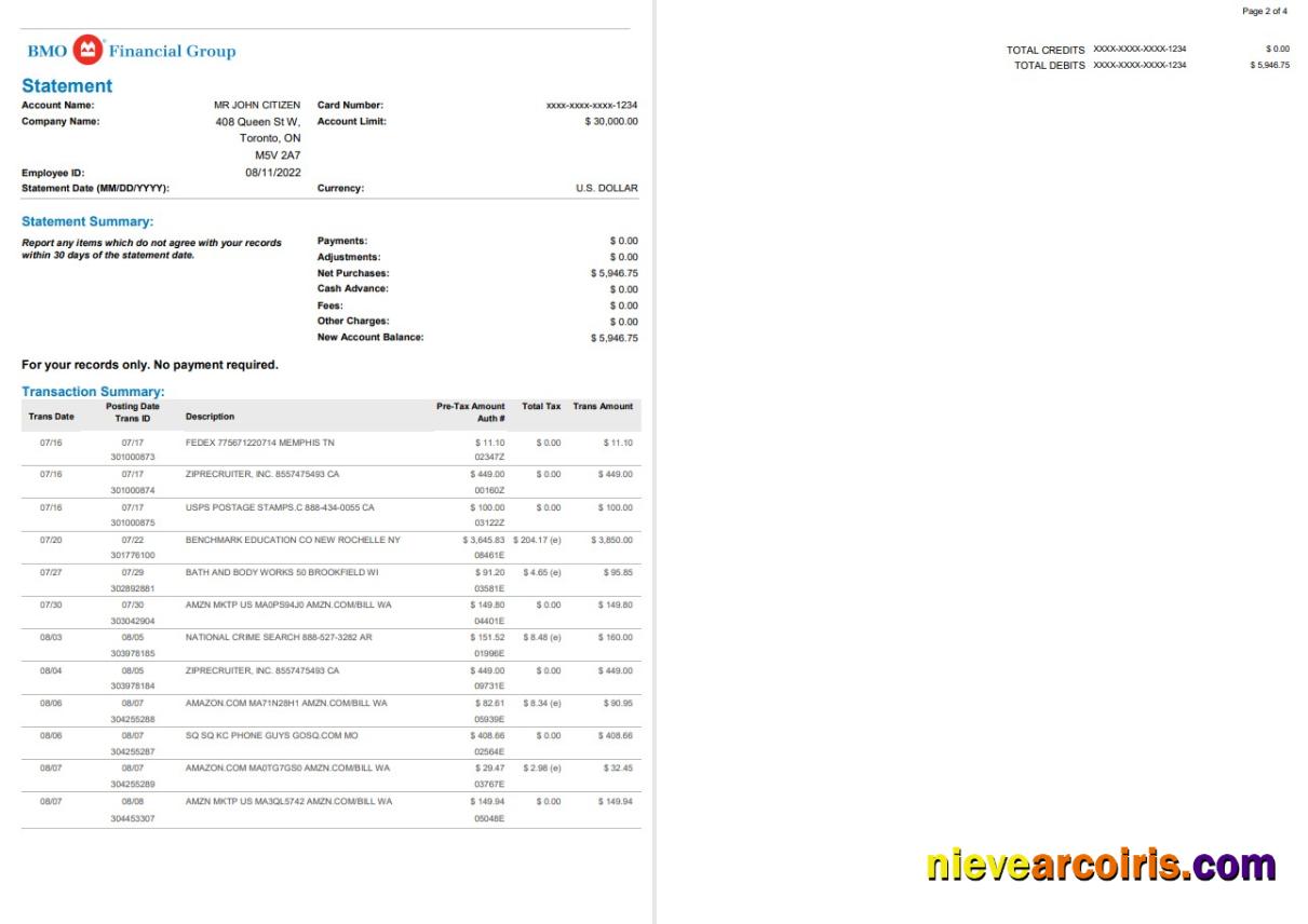 Premium USA BMO Bank Statement, Word And PDF Template, 4 Pages