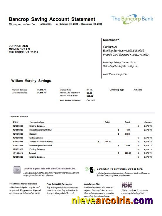 Editable USA Bancorp Bank Statement Word And PDF Template