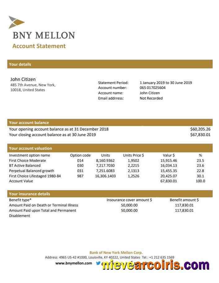Premium USA Bank Of New York Mellon Proof Of Address Bank Statement Template In Word And PDF Format (.doc And .pdf)
