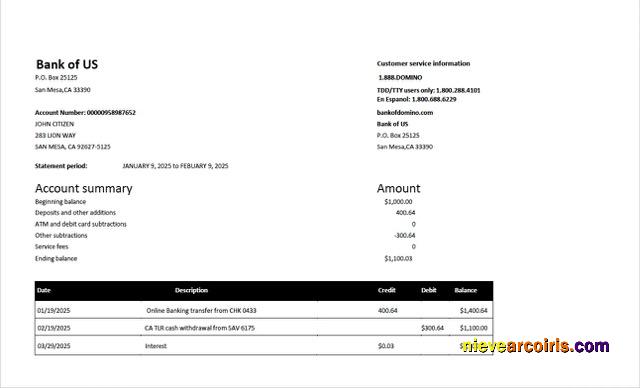 Premium USA Bank Of US Account Statement Word And PDF Template