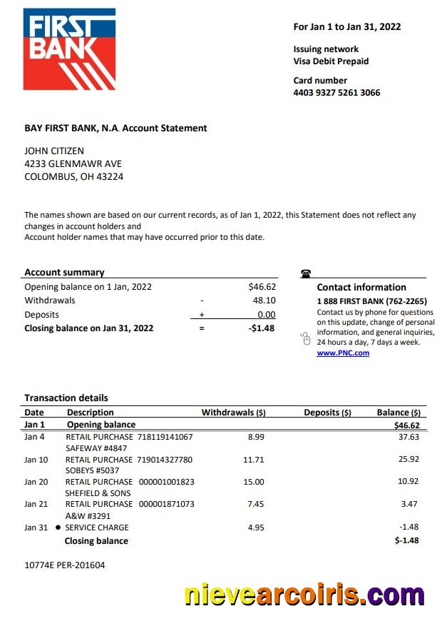 USA Bay First Bank Statement Sample