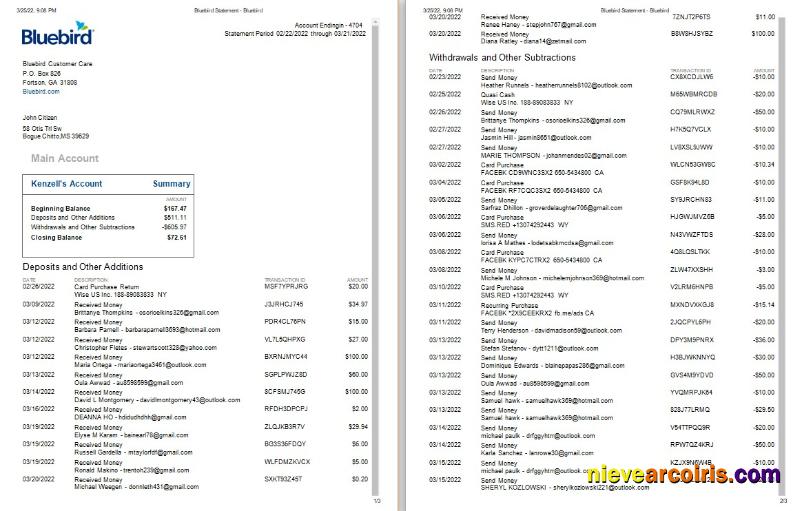 Premium USA Bluebird Bank Statement Word And PDF Template, 3 Pages, Version 2