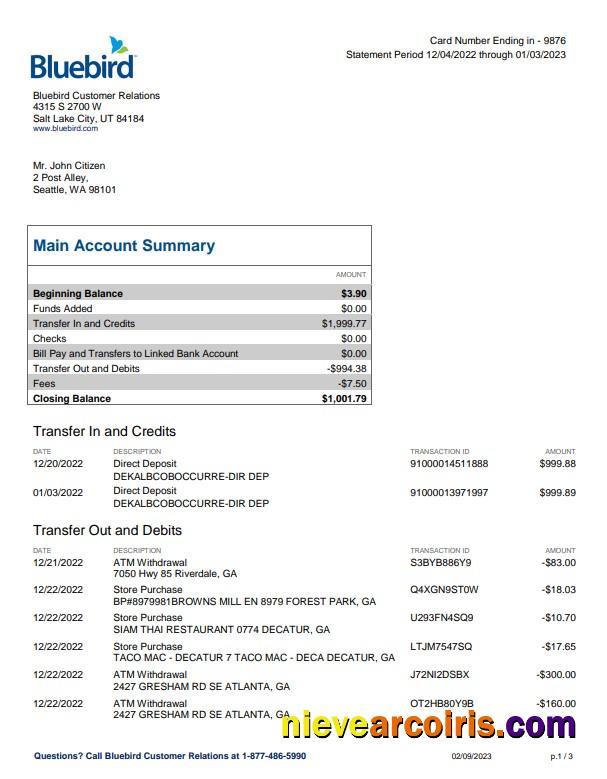 Premium USA Bluebird Bank Statement Word And PDF Template, 3 Pages