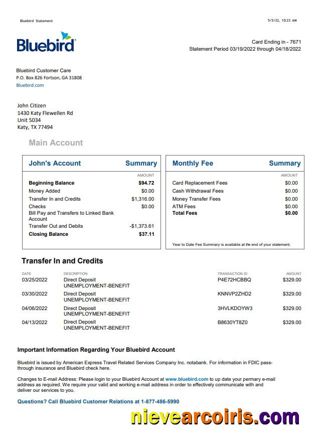 USA Bluebird Bank Statement Template