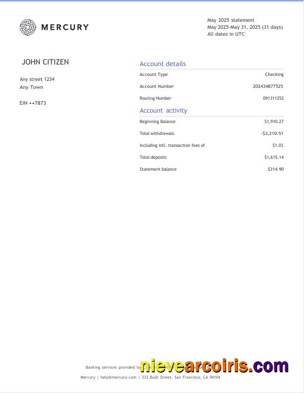 USA CA San Francisco Mercury Bank Statement 3 Page Photolook