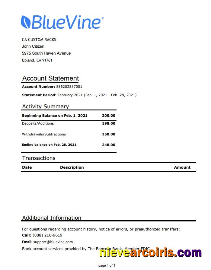 Premium USA California BlueVine Bank Statement Easy To Fill Template In .xls And .pdf File Format