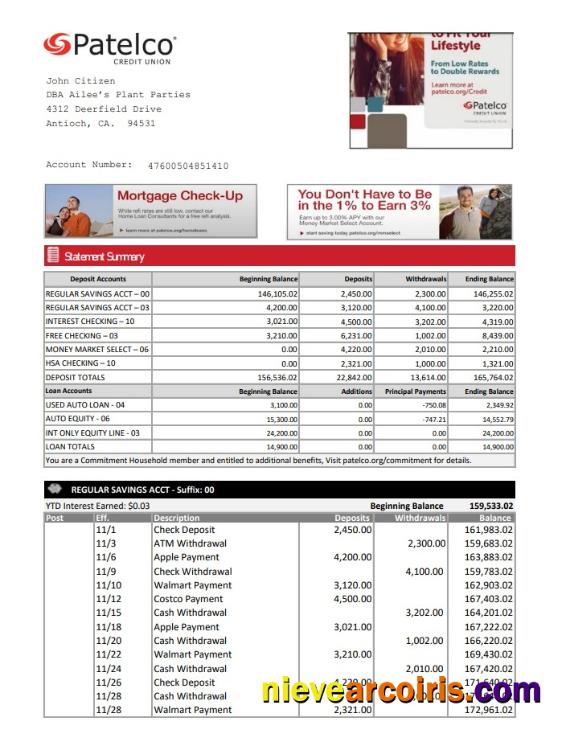 Premium USA California Patelco Credit Union Bank Statement Template In Excel And PDF Format