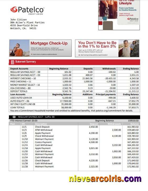 Editable USA California Patelco Credit Union Bank Statement Template In Word And PDF Format