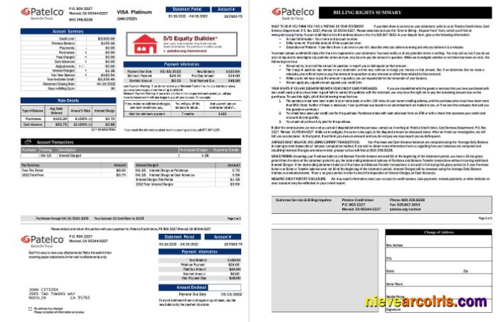 USA California Patelco Bank Card Statement 2 Pages Template