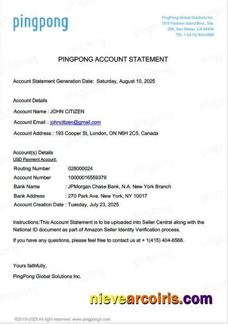 Professional USA California PingPong Global Solutions Inc Account Statement Word And PDF Template