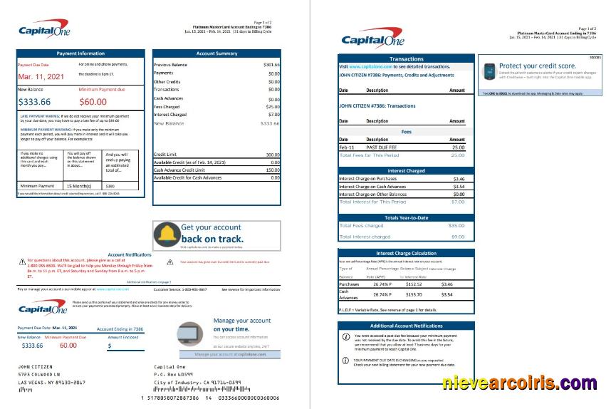 Realistic USA Capital One Bank Statement Template In Excel And PDF Format (2 Pages) Version 3