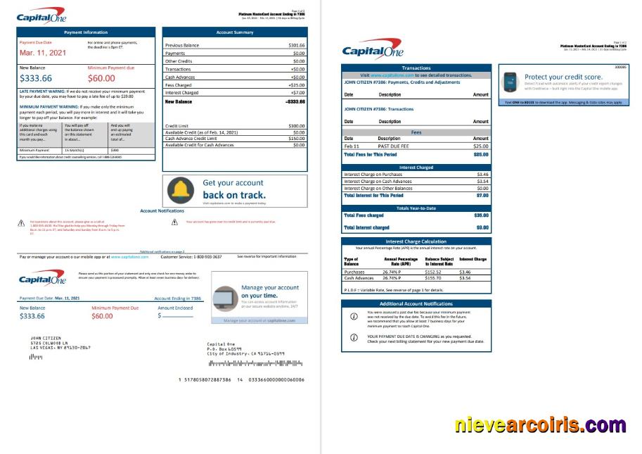 Editable USA Capital One Bank Statement Template In Word And PDF Format (2 Pages) Version 3