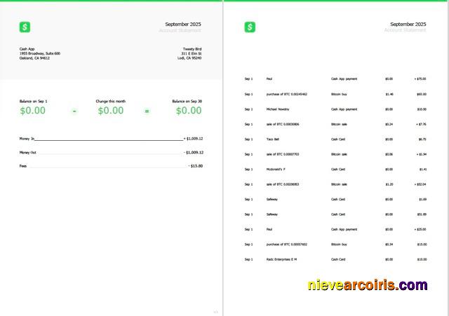 Realistic USA Cash App Account Statement Word And PDF Template, 2 Pages