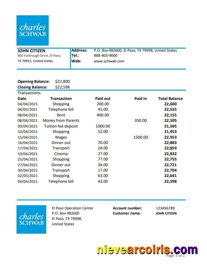 USA Charles Schwab & Co Excel Pdf Template