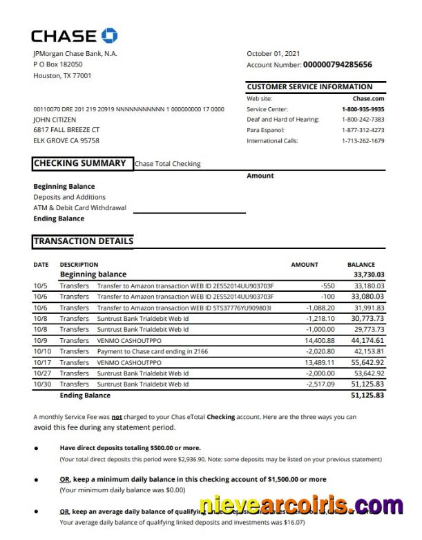 USA Chase Account Statement Preview
