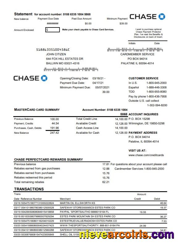 USA Chase Bank Mastercard Card Statement Photolook