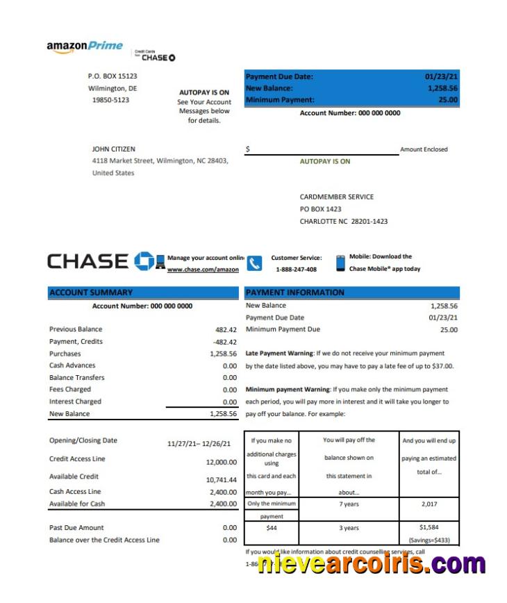 USA Chase Credit Card Statement Photolook