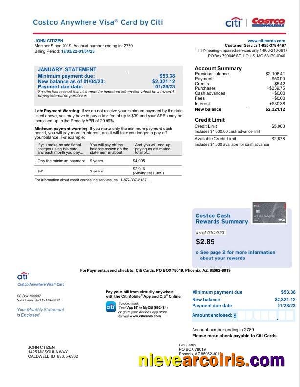 Professional USA Citi Bank Card Statement Word And PDF Template, 2 Pages