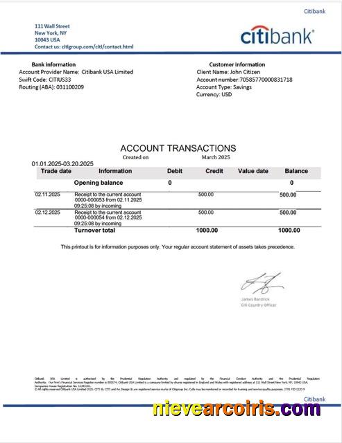Realistic USA Citibank Account Statement Word And PDF Template