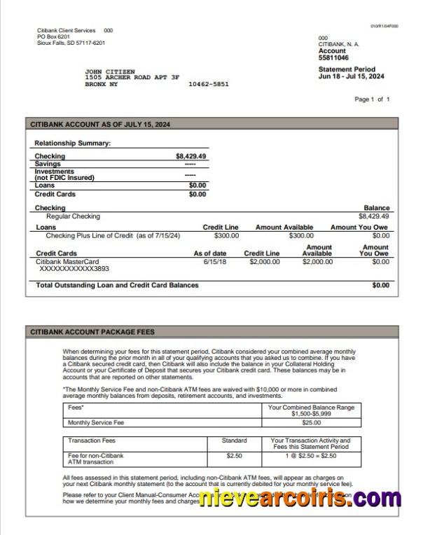 USA Citibank Statement Word And PDF Example, Version 3 Preview