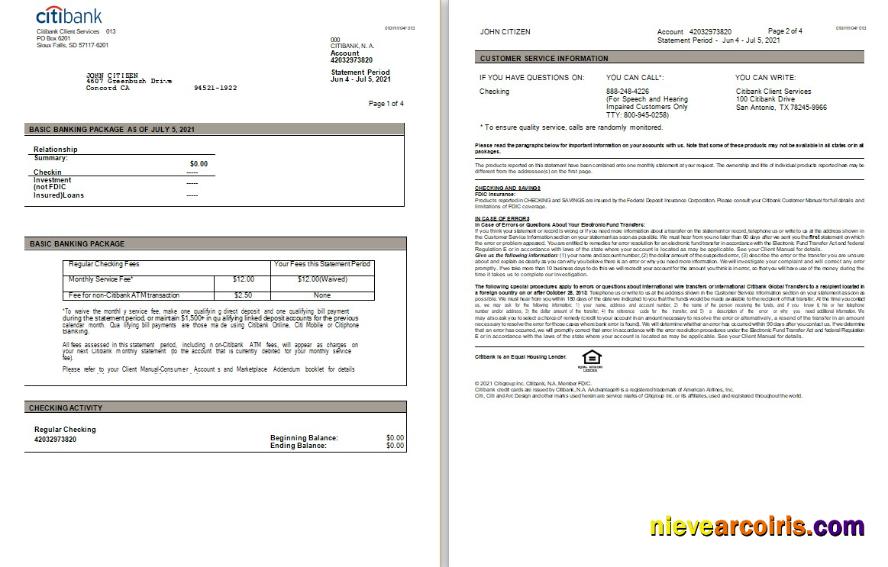 Professional USA Citibank Statement Word And PDF Template, 3 Pages