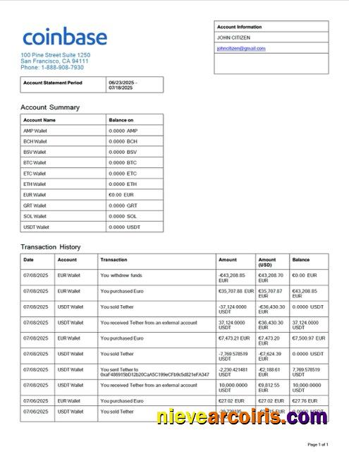 Professional USA Coinbase Account Statement Word And PDF Template