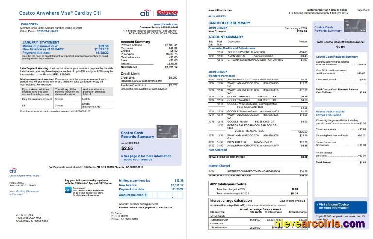 USA Costco Anywhere Visa Card By Citi Bank Statement 4 Pages Photolook