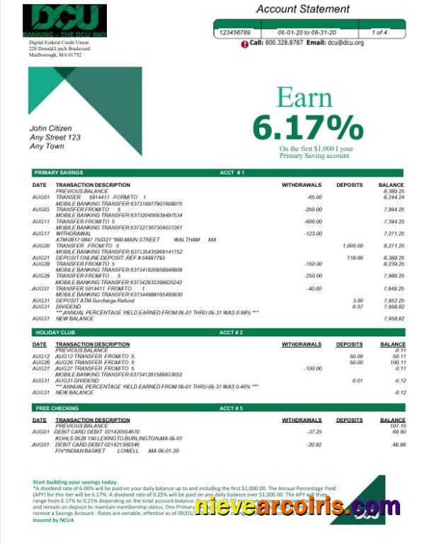 Professional USA DCU Bank Statement Word And PDF Template, 5 Pages