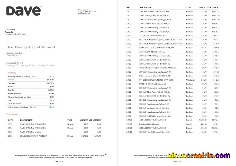 USA Dave Bank Account Statement 5 Pages Preview
