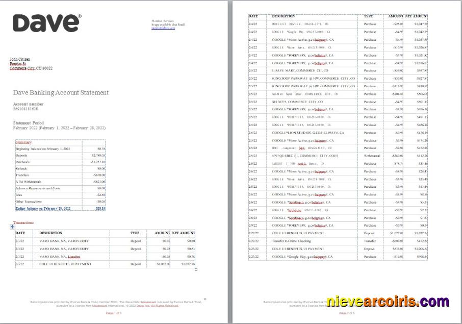 Realistic USA Dave Bank Account Statement, Word And PDF Template, 5 Pages