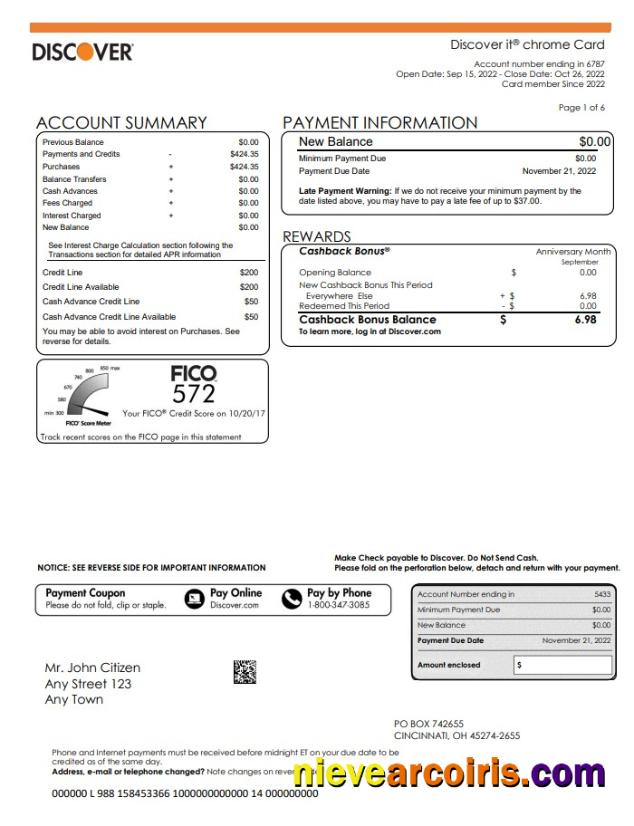Professional USA Discover Bank Statement, Word And PDF Template, 5 Pages