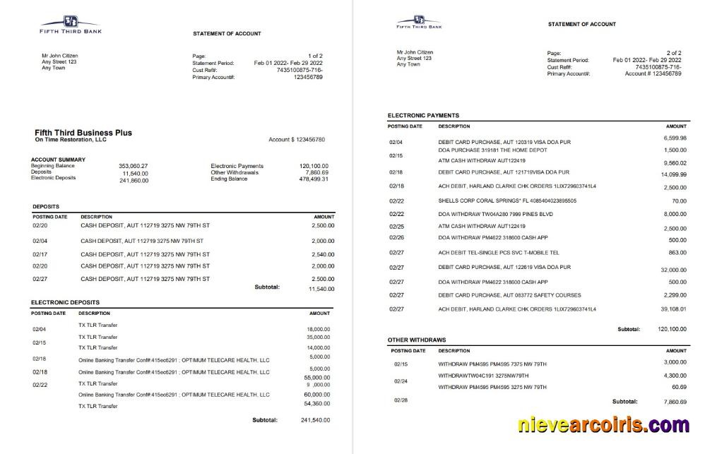 Premium USA Fifth Third Bank Statement, Word And PDF Template, 2 Pages