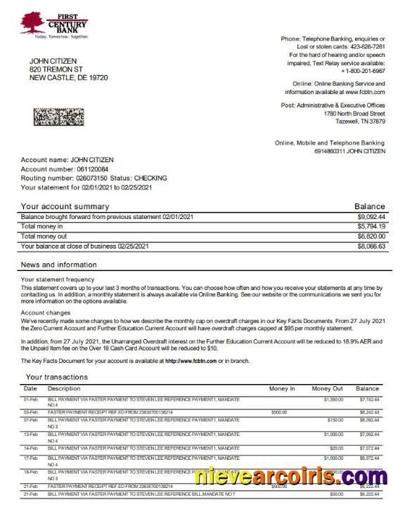 USA First Century Bank Statement Preview