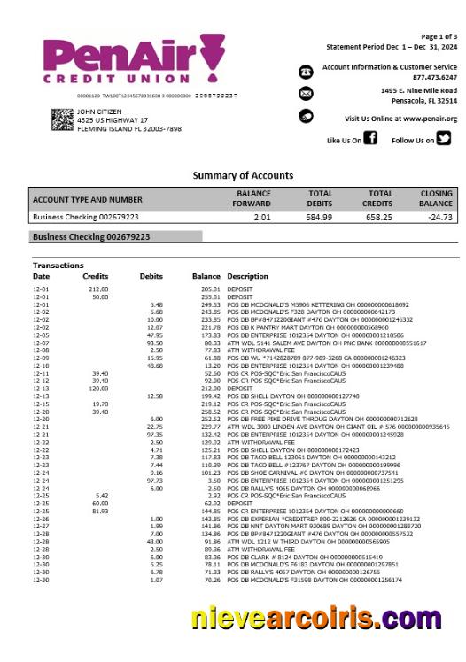 USA Florida PenAir Credit Union Bank Statement, 3 Pages Preview