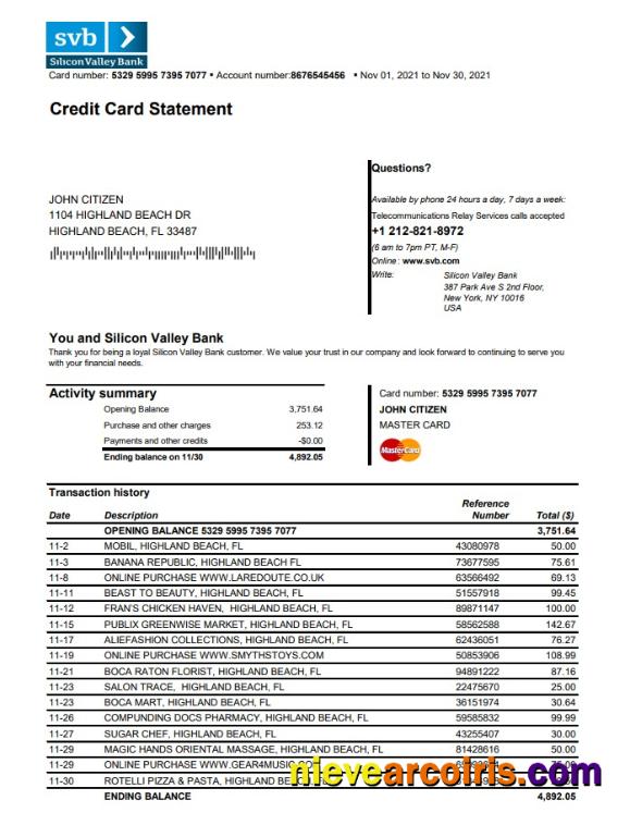 Professional USA Florida Silicon Valley Bank Credit Card Statement Template In Excel And PDF Format