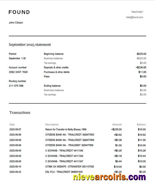 Premium USA Found Account Statement Word And PDF Template