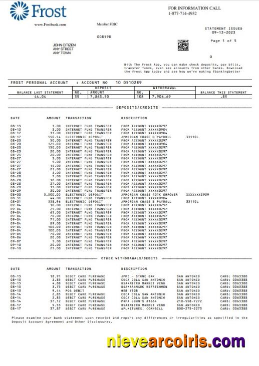 Realistic USA Frost Bank Statement Word And PDF Template