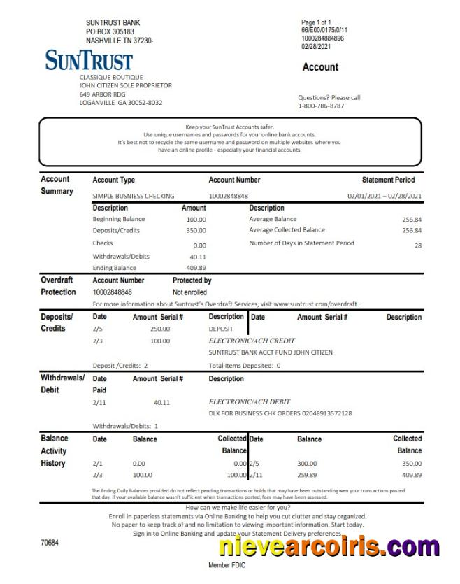 Professional USA Georgia SunTrust Bank Statement Template In Excel And PDF Format