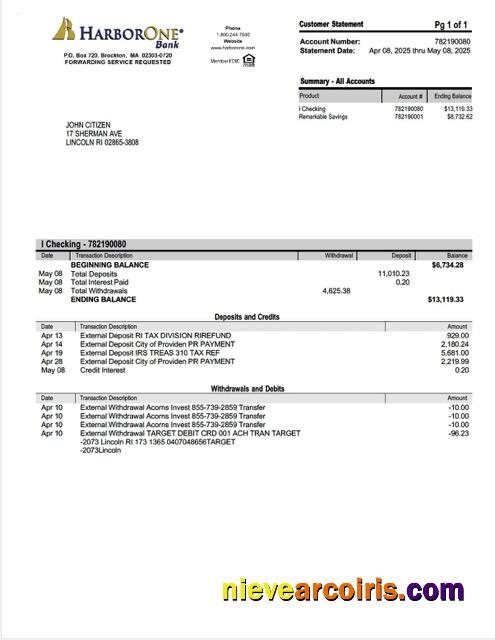 Editable USA HarborOne Bank Account Statement Word And PDF Template