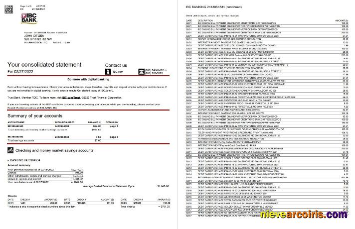 USA IBC Bank Statement 5 Page Preview
