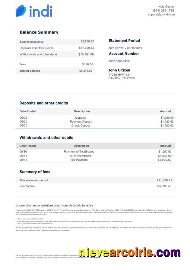 USA Indi Bank Statement Photolook