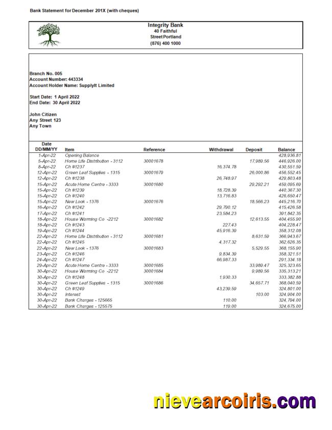 Editable USA Integrity Bank Statement Word And PDF Template.1