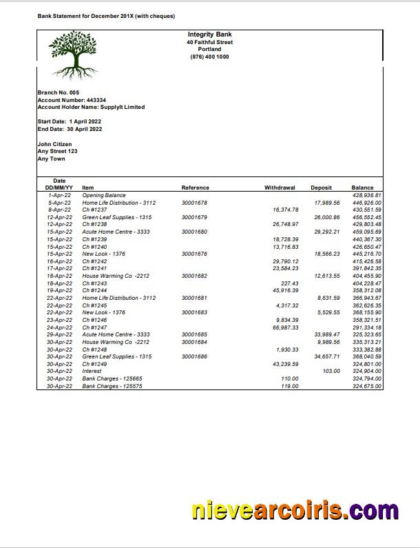 Realistic USA Integrity Bank Statement Word And PDF Template