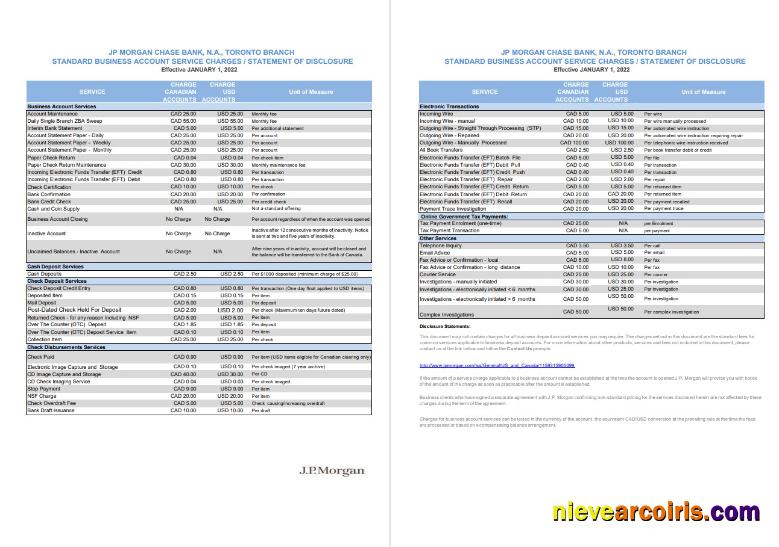 USA JP Morgan Bank Statement 2 Pages VERSION 2 Photolook