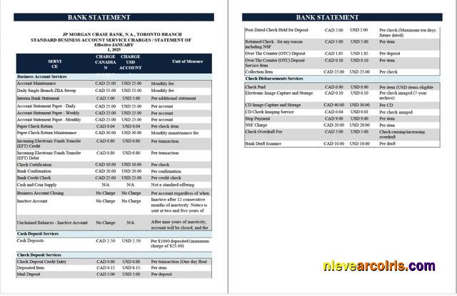 Premium USA JPMorgan Chase Bank Statement Word And PDF Template, 2 Pages